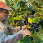 Der "Blaue Bernburger"